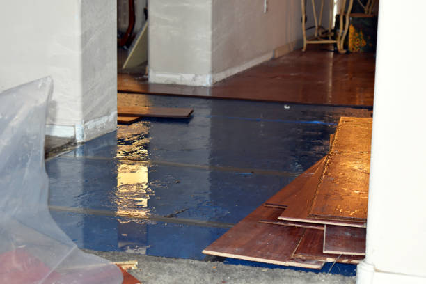 Professional Water Damage technician working in North Prairie, WI